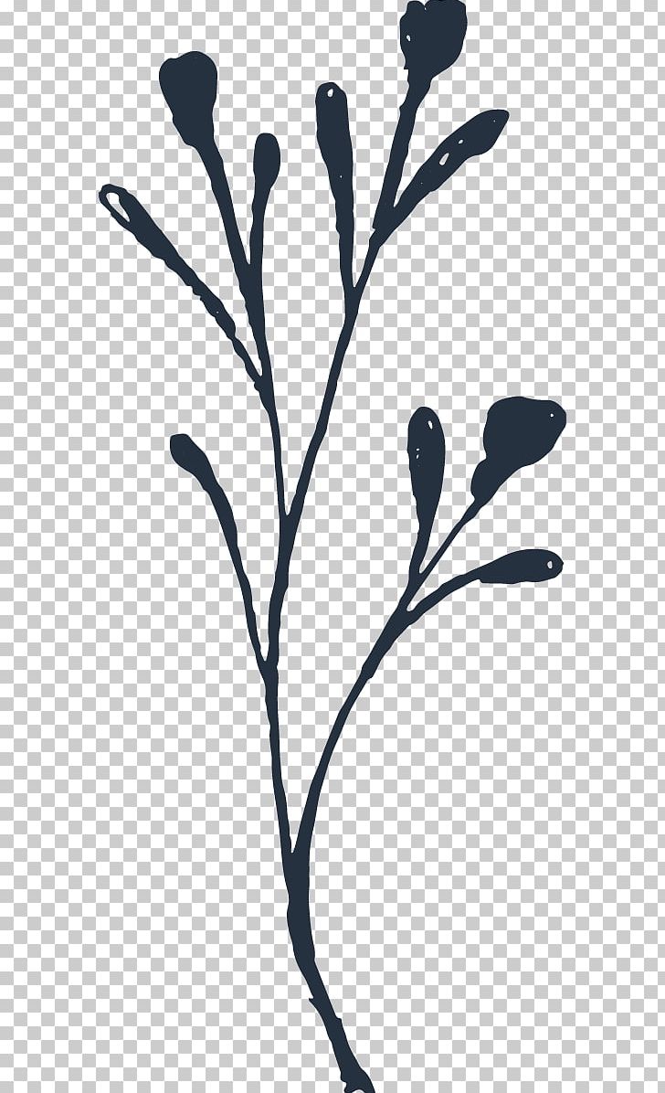 Black And White PNG, Clipart, Black, Black And White, Blue, Branch, Brown Free PNG Download