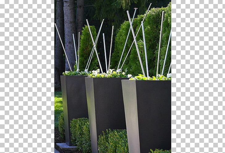 Grasses Herb Rectangle Tree Family PNG, Clipart, Family, Flowerpot, Grass, Grasses, Grass Family Free PNG Download