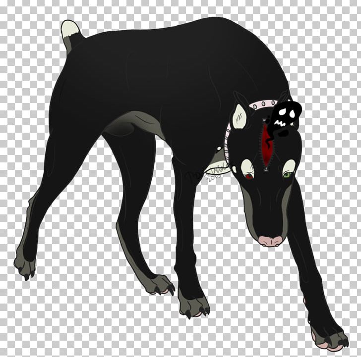 Italian Greyhound Dog Breed Mammal Canidae PNG, Clipart, Animal, Black, Black M, Breed, Canidae Free PNG Download