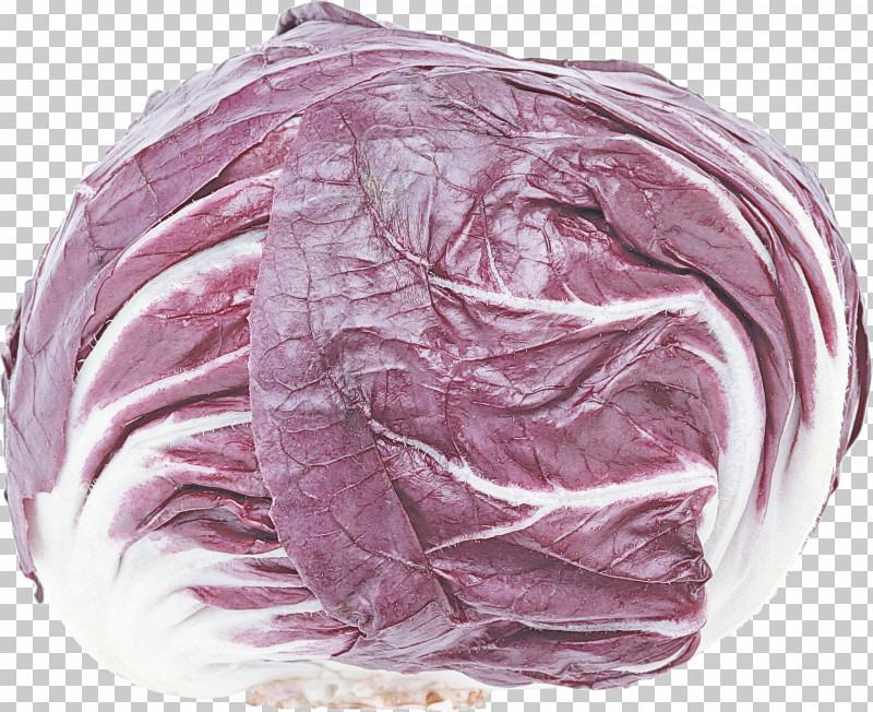 Cabbage Red Cabbage Vegetable Wild Cabbage Purple PNG, Clipart, Cabbage, Food, Leaf Vegetable, Purple, Radicchio Free PNG Download