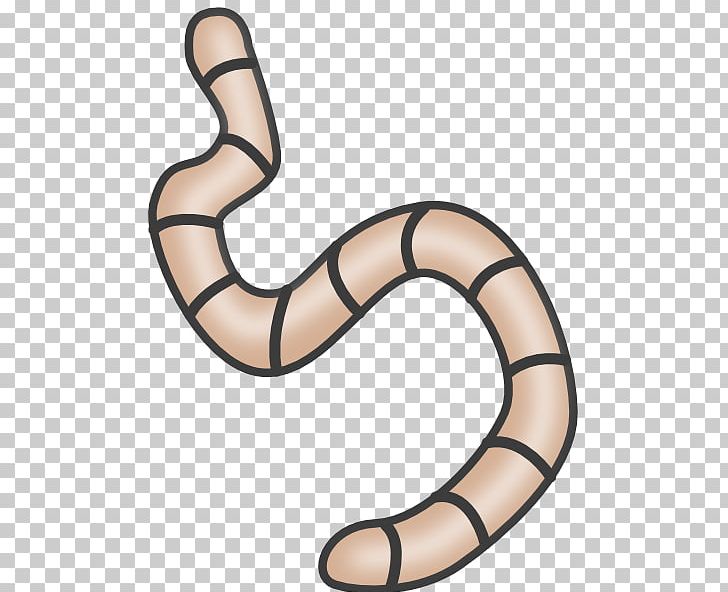 Earthworm PNG, Clipart, Download, Drawing, Earthworm, Invertebrate, Line Free PNG Download