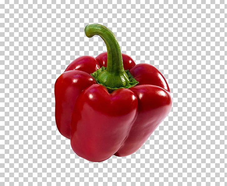 Habanero Serrano Pepper Cayenne Pepper Tabasco Pepper Bell Pepper PNG, Clipart, Bell Peppers And Chili Peppers, Black Pepper, Capsicum, Capsicum Annuum, Chili Pepper Free PNG Download