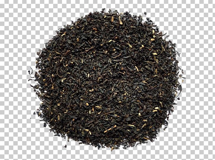 Lapsang Souchong Nilgiri Tea Oolong Darjeeling Tea PNG, Clipart,  Free PNG Download