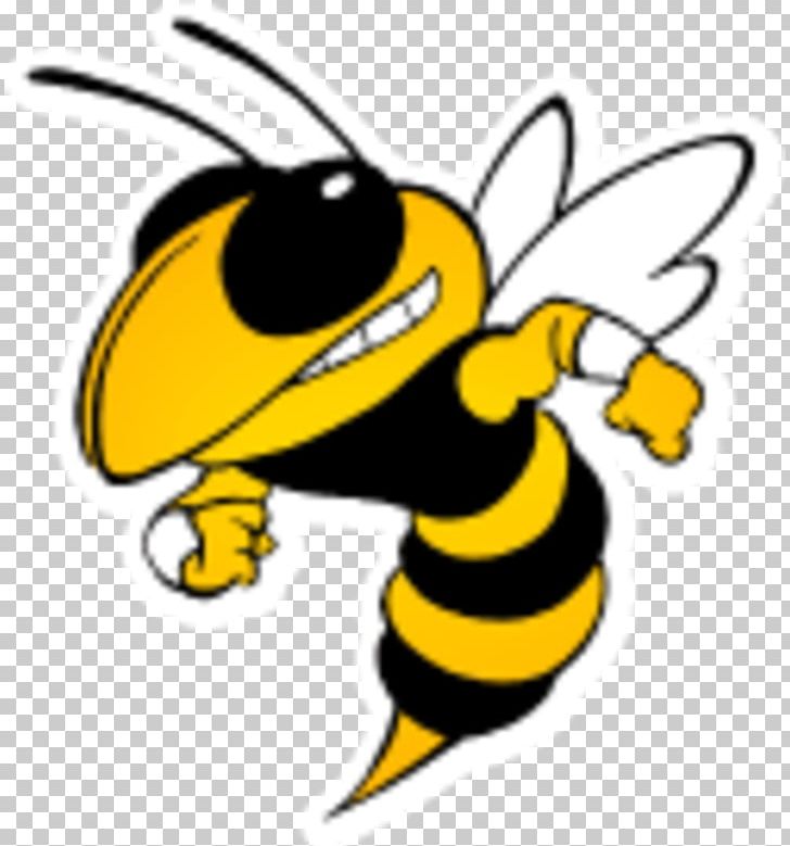 Georgia Institute Of Technology Georgia Tech Yellow Jackets Football Bee Yellowjacket Hornet PNG, Clipart, Artwork, Bee, Buzz, Clinton, Common Wasp Free PNG Download