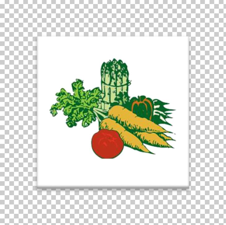 Vegetable Food PNG, Clipart, Ann, App Icon, Carrot, Celery, Clip Art Free PNG Download