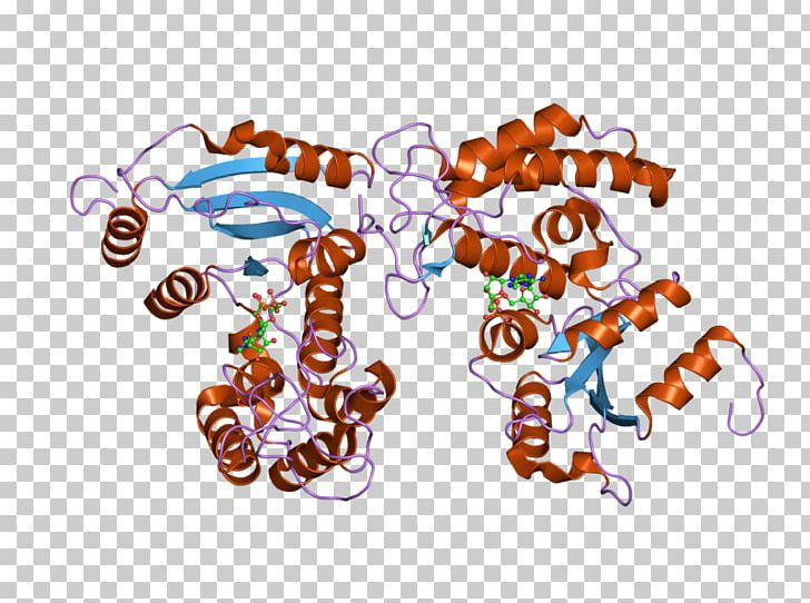 CD38 Glycoprotein Cluster Of Differentiation Immune System White Blood Cell PNG, Clipart, 3 Q, Adenosine Diphosphate, Adp, Art, Blood Cell Free PNG Download