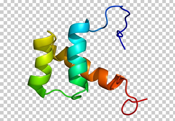 DLX5 DLX2 Homeobox DLX Gene Family Protein PNG, Clipart, Area, Artwork, Dlx Gene Family, Gene, Homeobox Free PNG Download