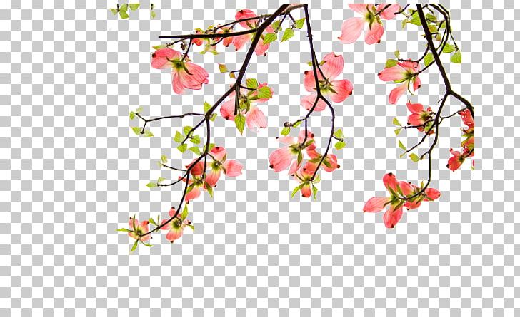 Flower Chinoiserie PNG, Clipart, Branch, China, Chinese Painting, Flowers, Ink Free PNG Download