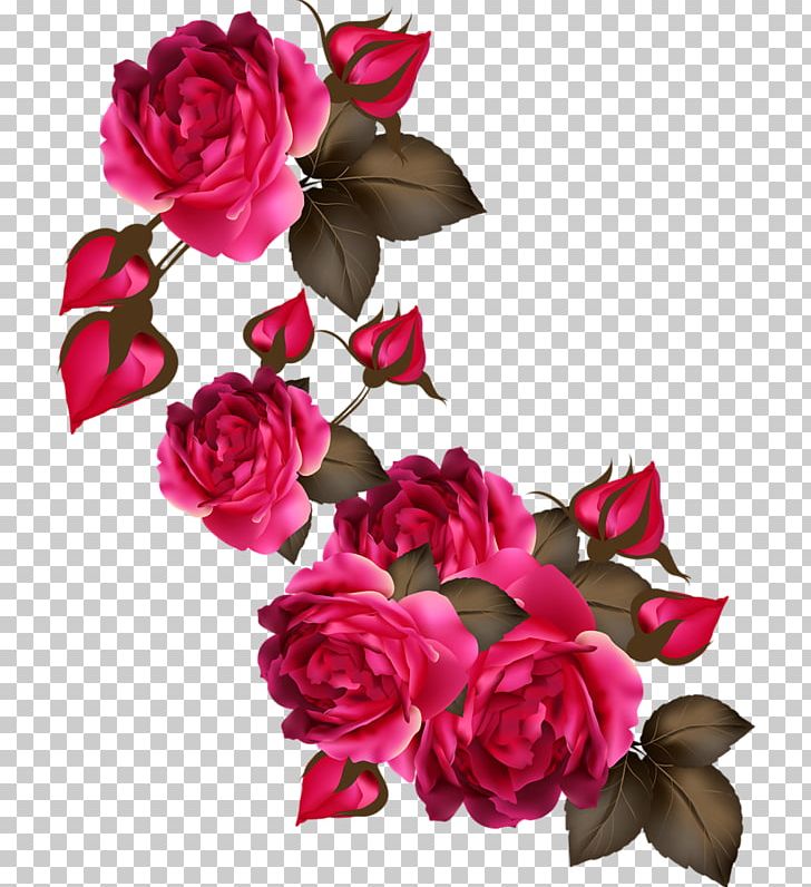 Garden Roses Flower PNG, Clipart, Artificial Flower, Cut Flowers, Flower, Flower Arranging, Magenta Free PNG Download