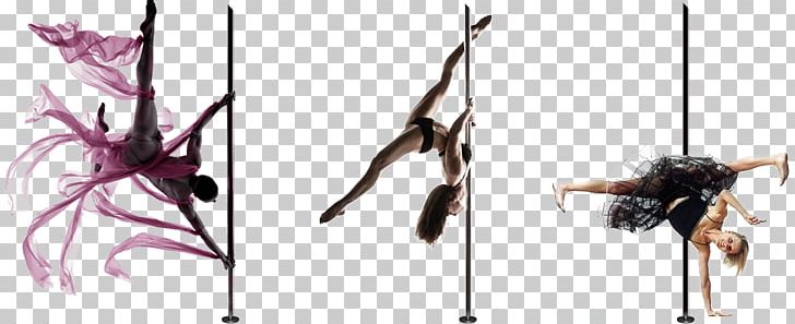 Pole Dance Artist Choreography PNG, Clipart, Acrobatics, Aerial Dance, Art, Artist, Artistic Free PNG Download