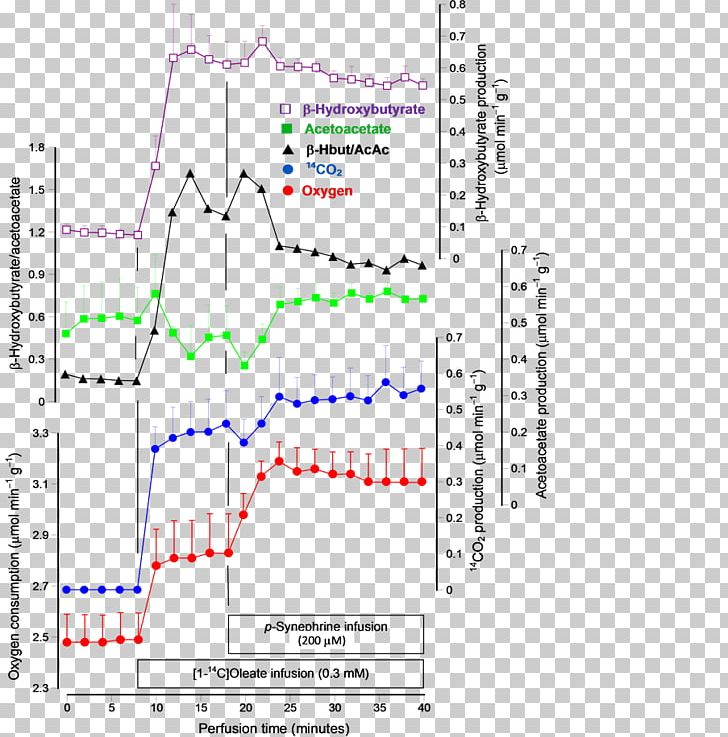 Synephrine Lipolysis Octopamine Natural Product Lipid PNG, Clipart, Adipocyte, Angle, Area, Chemical Compound, Diagram Free PNG Download