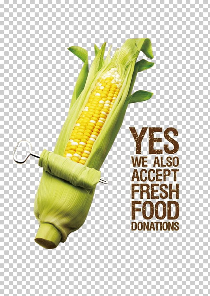 Corn On The Cob Maize Corn Kernel Chief Executive PNG, Clipart, Album, Album Design Material, Business, Cartoon Corn, Chief Executive Free PNG Download