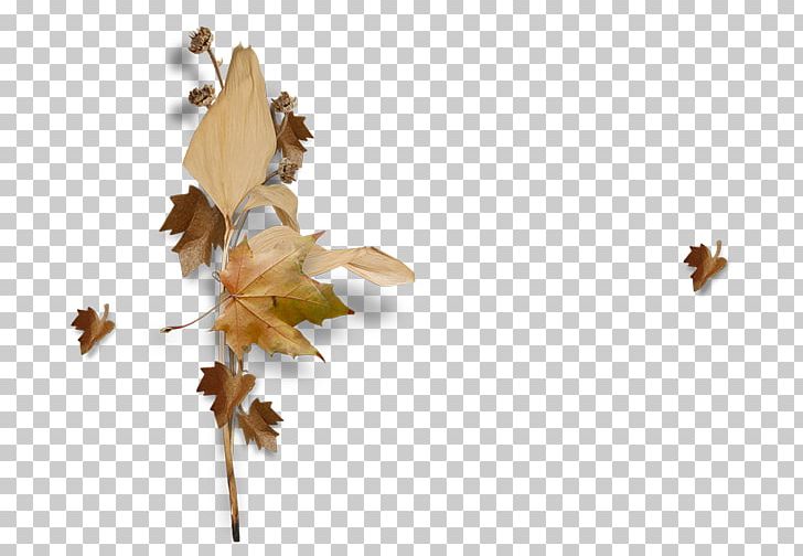 Insect Woman Flower Child PNG, Clipart, Autumn, Branch, Butterfly, Child, Flower Free PNG Download