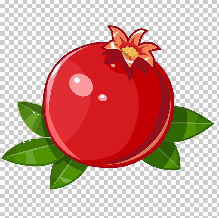Juice Pomegranate Fruit Stock Illustration PNG, Clipart, Apple, Bright, Flower, Food, Fruit Free PNG Download