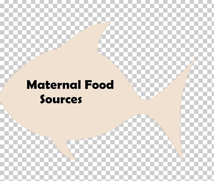 Logo Fish Marine Mammal Brand Font PNG, Clipart, Abortion, Animals, Brand, Fauna, Fish Free PNG Download