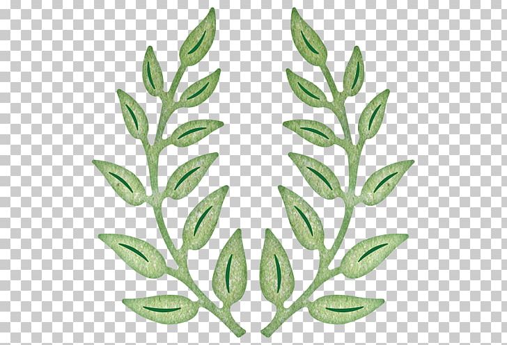 Olive Branch Paper Cheery Lynn Designs PNG, Clipart, Art, Cardmaking, Cheery Lynn Designs, Commodity, Craft Free PNG Download