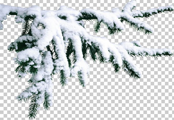 Saint-Gervais-les-Bains Snow Winter PNG, Clipart, Branch, Christmas, Conifer, December, Evergreen Free PNG Download