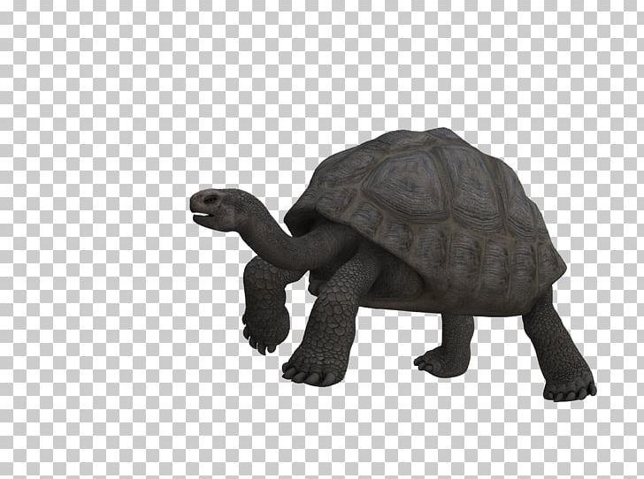 Turtle Tortoise Reptile Art Animal PNG, Clipart, Animal, Animal Figure, Animal Rescue Group, Animals, Art Free PNG Download