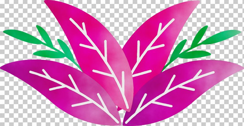 Leaf Flower Petal Heart Plants PNG, Clipart, Biology, Flower, Heart, Leaf, Paint Free PNG Download