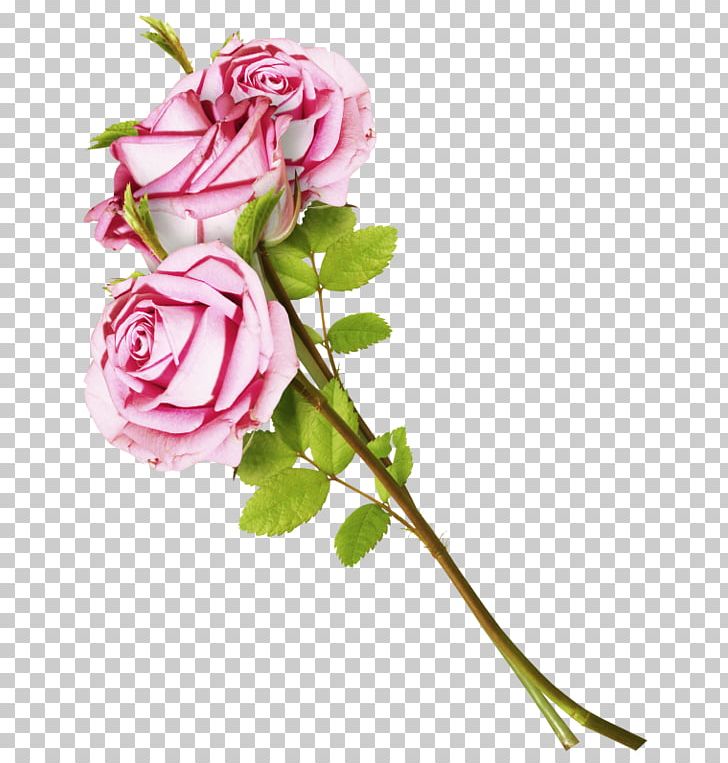 Garden Roses Flower Cabbage Rose Mumin PNG, Clipart, Artificial Flower, Cut Flowers, Floral Design, Floribunda, Floristry Free PNG Download