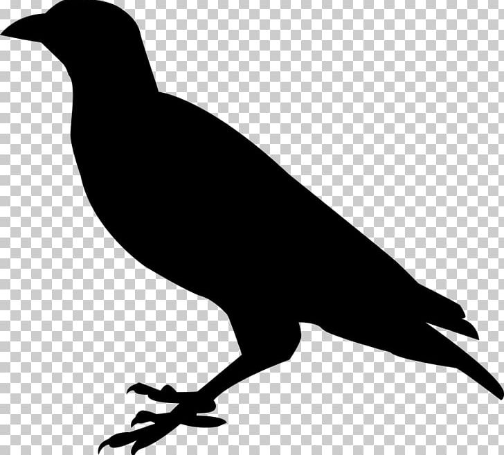 Beak Black And White Fauna Silhouette PNG, Clipart, Animals, Beak, Bird, Black, Black And White Free PNG Download