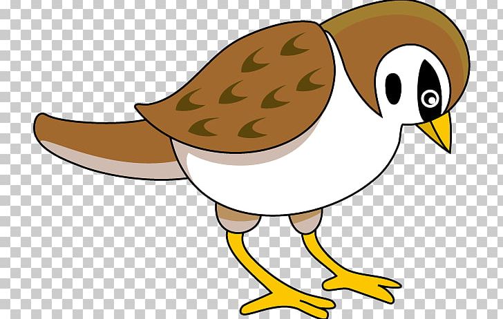House Sparrow Bird PNG, Clipart, Art, Artwork, Beak, Bird, Drawing Free PNG Download