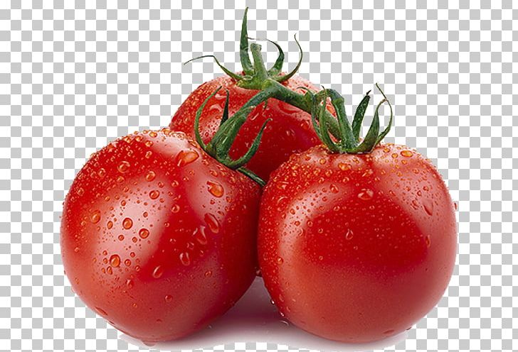 Organic Food Tomato Eating Health PNG, Clipart, Bush Tomato, Dried Fruit, Eating, Food, Fruit Free PNG Download