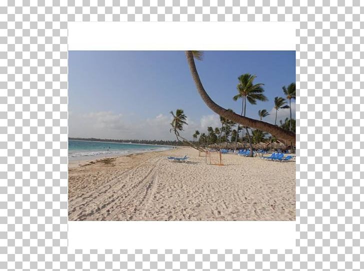 Shore Caribbean Sea Beach Land Lot PNG, Clipart, Area, Beach, Caribbean, Caribbean Sea, Coast Free PNG Download