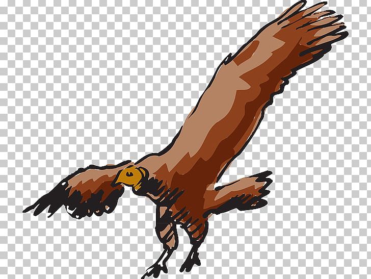 Beaky Buzzard Turkey Vulture PNG, Clipart, Accipitriformes, Animal Figure, Bald Eagle, Beak, Beaky Buzzard Free PNG Download