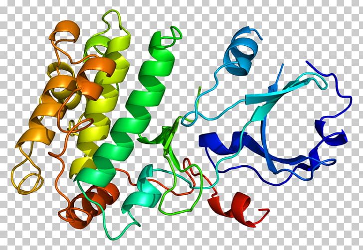 Ca2+/calmodulin-dependent Protein Kinase Gene PNG, Clipart, Area, Art, Artwork, Body Jewelry, Calcium Free PNG Download