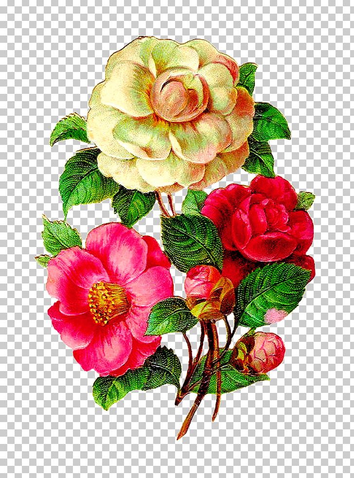 Flower Floral Design PNG, Clipart, Annual Plant, Antique, Artificial Flower, Begonia, Camellia Free PNG Download