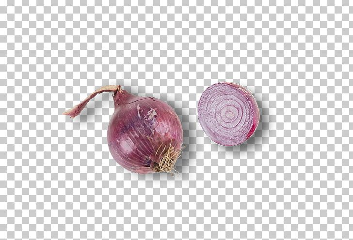 Red Onion Shallot Icon PNG, Clipart, Chemical Element, Download, Element, Euclidean Vector, Food Free PNG Download