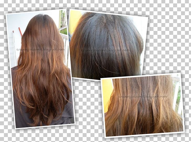 Long Hair Step Cutting Hair Coloring Brown Hair PNG, Clipart, Blond, Brown, Brown Hair, Hair, Hair Coloring Free PNG Download