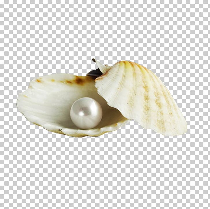 Pearl Oyster Seashell Nacre Gemstone PNG, Clipart, Button, Cultured Pearl, Diamond, Emerald, Marine Free PNG Download