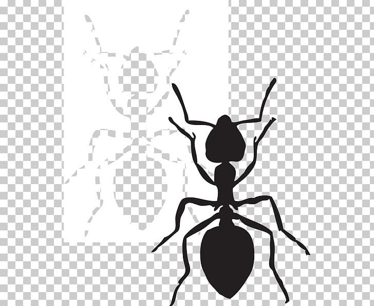 Ant PNG, Clipart, Animation, Ant, Ants Cliparts, Arthropod, Artwork Free PNG Download