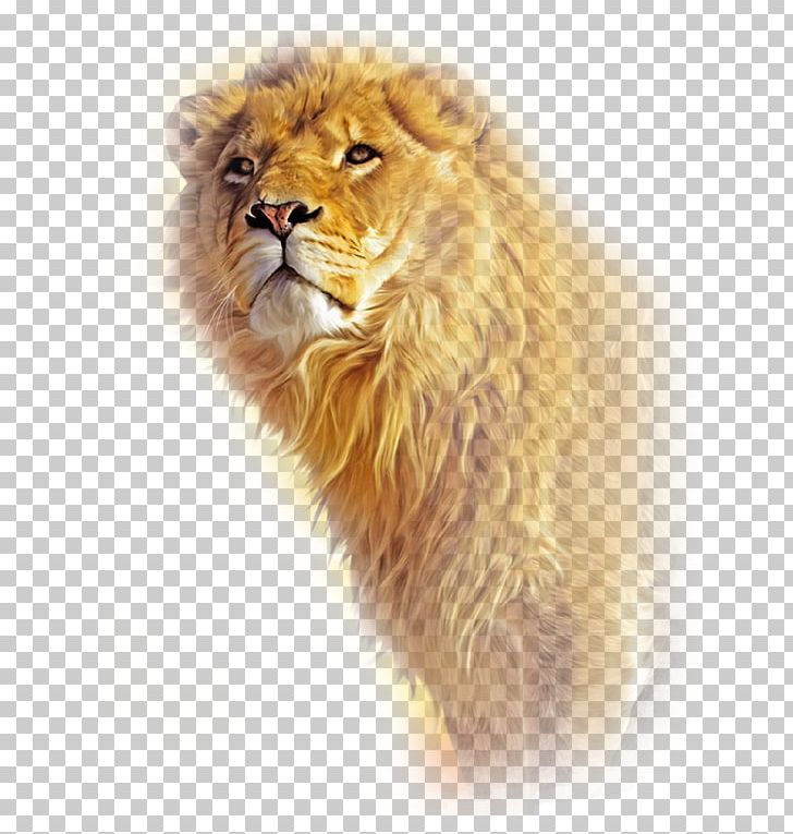 Mac OS X Lion MacBook Desktop PNG, Clipart, 1080p, Animals, Big Cats, Carnivoran, Cat Like Mammal Free PNG Download