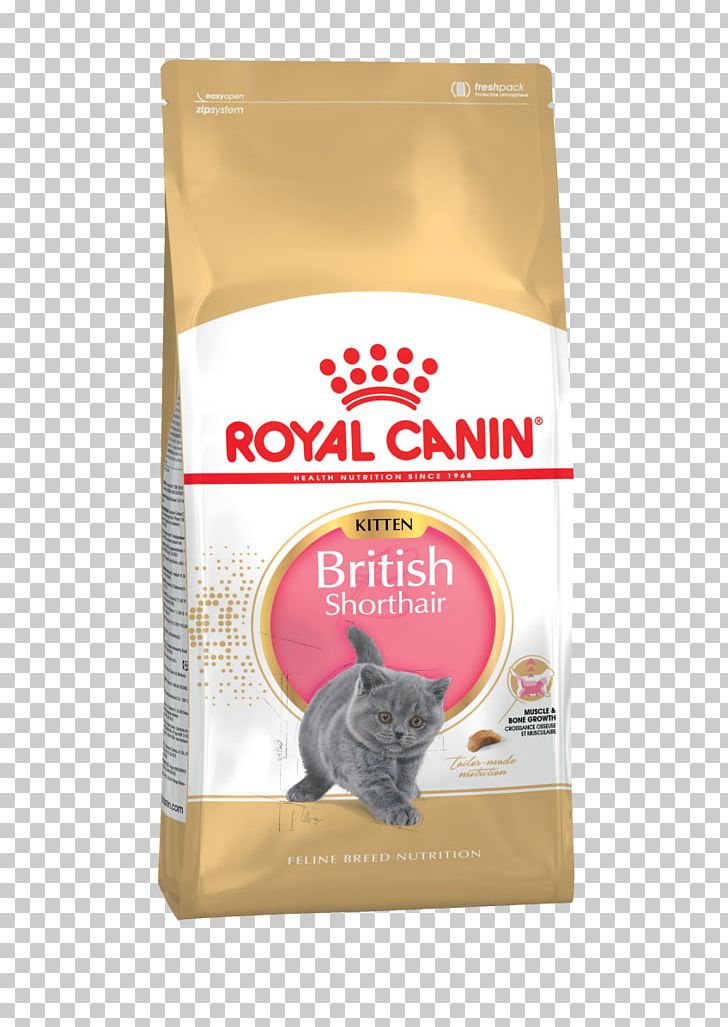 Persian Cat Cat Food British Shorthair Kitten Ragdoll PNG, Clipart, Animals, British Shorthair, Cat, Cat Food, Dog Free PNG Download