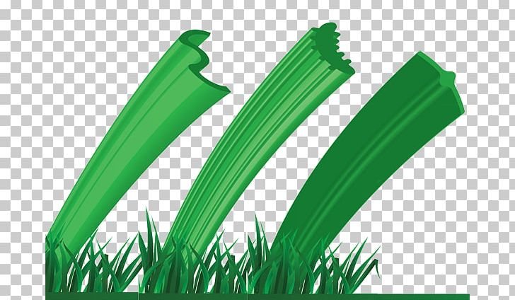 Artificial Turf Synthetic Grass Warehouse Lawn Football Fiber PNG, Clipart, Architectural Engineering, Artificial Turf, Blade, Fiber, Football Free PNG Download