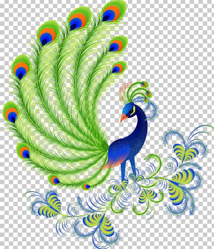 Peafowls PNG, Clipart, Animals, Asiatic Peafowl, Bird, Chicken, Feather Free PNG Download