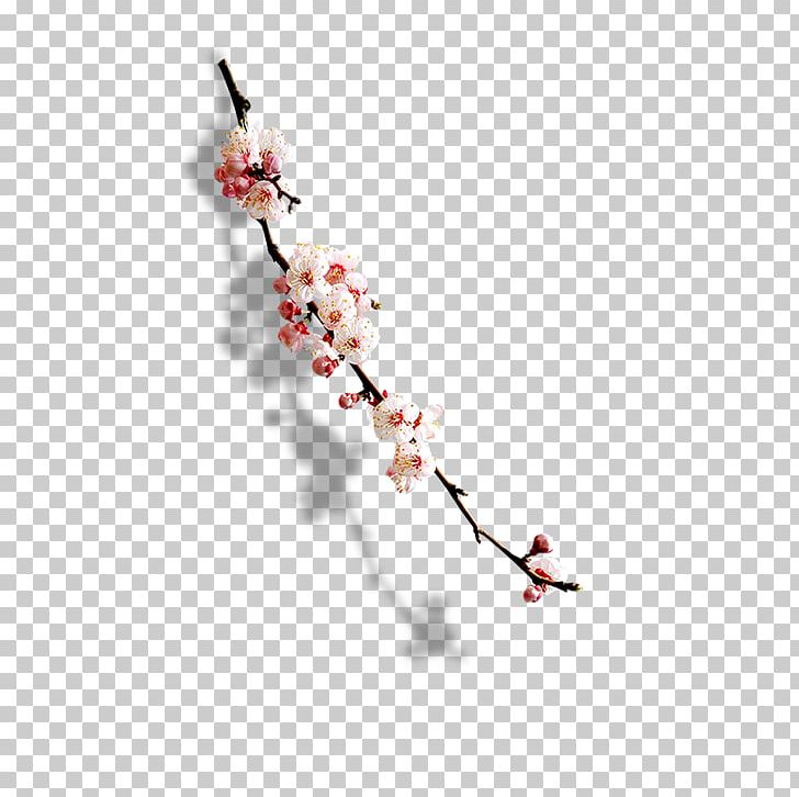 Software PNG, Clipart, Art, Branch, Cherry Blossom, Color, Encapsulated Postscript Free PNG Download