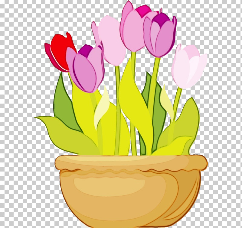 Tulip Flower Plant Cut Flowers Petal PNG, Clipart, Cut Flowers, Floral, Flower, Flowerpot, Lily Family Free PNG Download