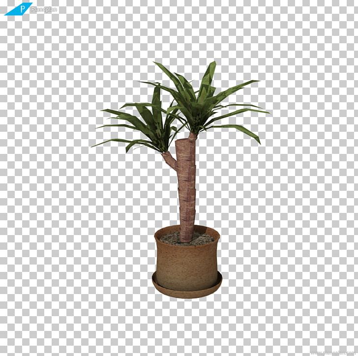 Arecaceae Планоплан Houseplant Room PNG, Clipart, 3d Computer Graphics, Arecaceae, Arecales, Cactaceae, Directory Free PNG Download