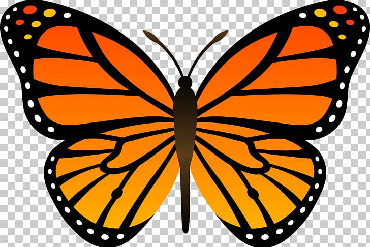 Butterfly PNG, Clipart, Butterfly Free PNG Download