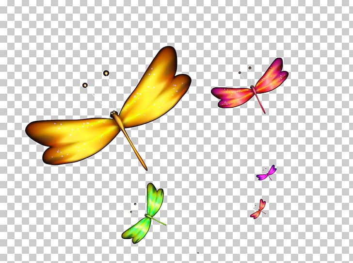 Dragonfly PNG, Clipart, Art, Butterfly, Cartoon Dragonfly, Decoration, Designer Free PNG Download