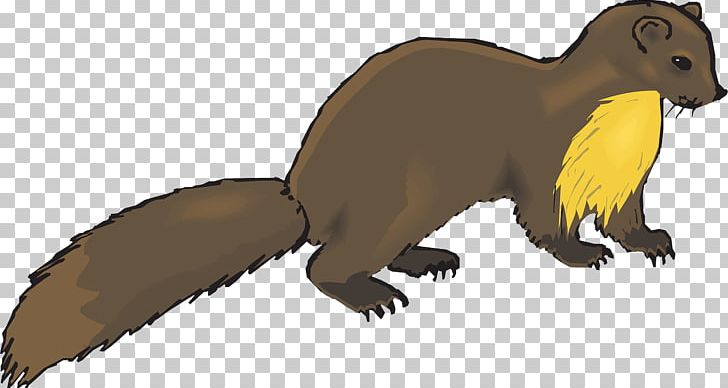 European Pine Marten Weasel Otter Mink PNG, Clipart, Animals, Beak, Brown, Carnivoran, Cartoon Free PNG Download