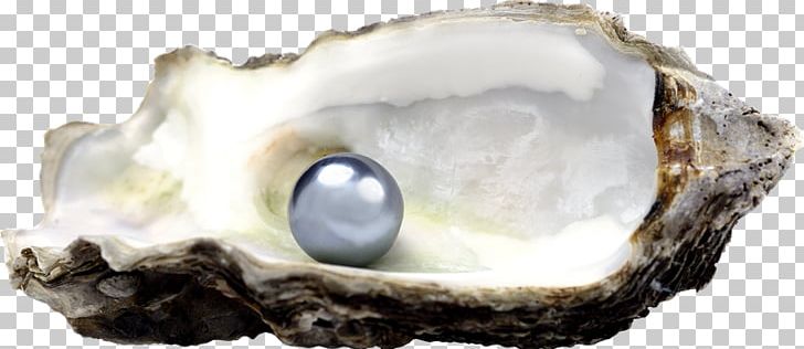 Pearl Jewellery Oyster Bivalvia Stock Photography PNG, Clipart, Bivalvia, Clams Oysters Mussels And Scallops, Crystal, Download, Gemstone Free PNG Download