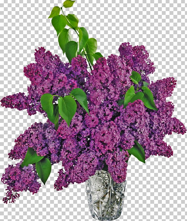 Common Lilac Vase PNG, Clipart, Color, Common Lilac, Cut Flowers, Floral Design, Flower Free PNG Download