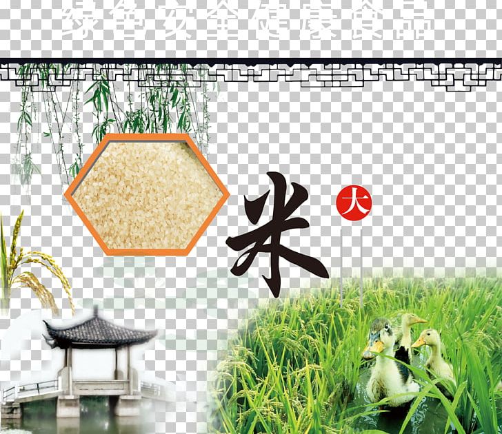 Rice PNG, Clipart, Adobe Illustrator, Design Element, Elements Vector, Encapsulated Postscript, Grass Free PNG Download