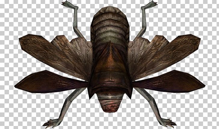 Silent Hill: Book Of Memories Silent Hill: Homecoming Portable Network Graphics Wiki PNG, Clipart, Arthropod, Fandom, Human Mouth, Insect, Invertebrate Free PNG Download