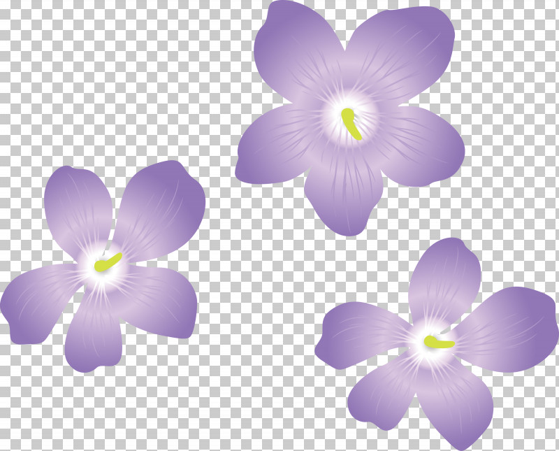 Violet Flower PNG, Clipart, Biology, Computer, Flower, Lavender, M Free PNG Download